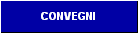 SEMINARI E CONVEGNI